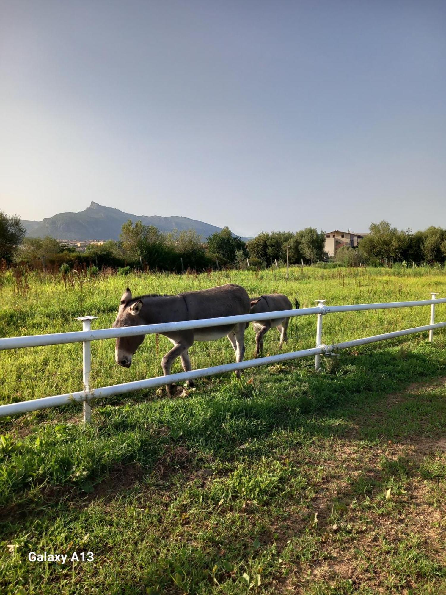 Casa Con Bella Vista Διαμέρισμα Siniscola Εξωτερικό φωτογραφία