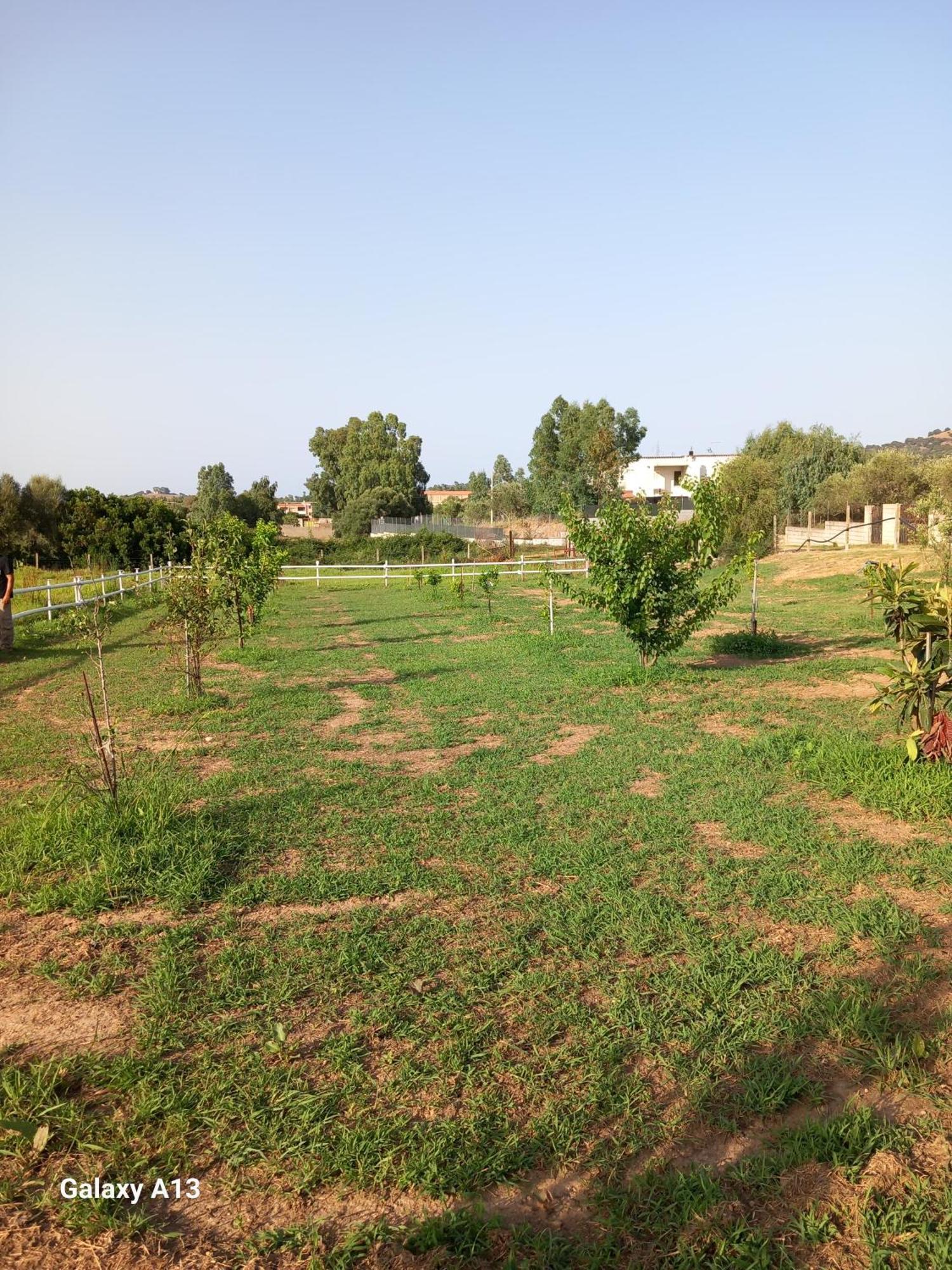 Casa Con Bella Vista Διαμέρισμα Siniscola Εξωτερικό φωτογραφία